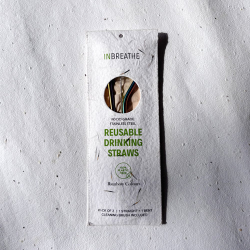 Eco-friendly stainless steel rainbow straws set of 2, reusable and safe for hot or cold drinks.