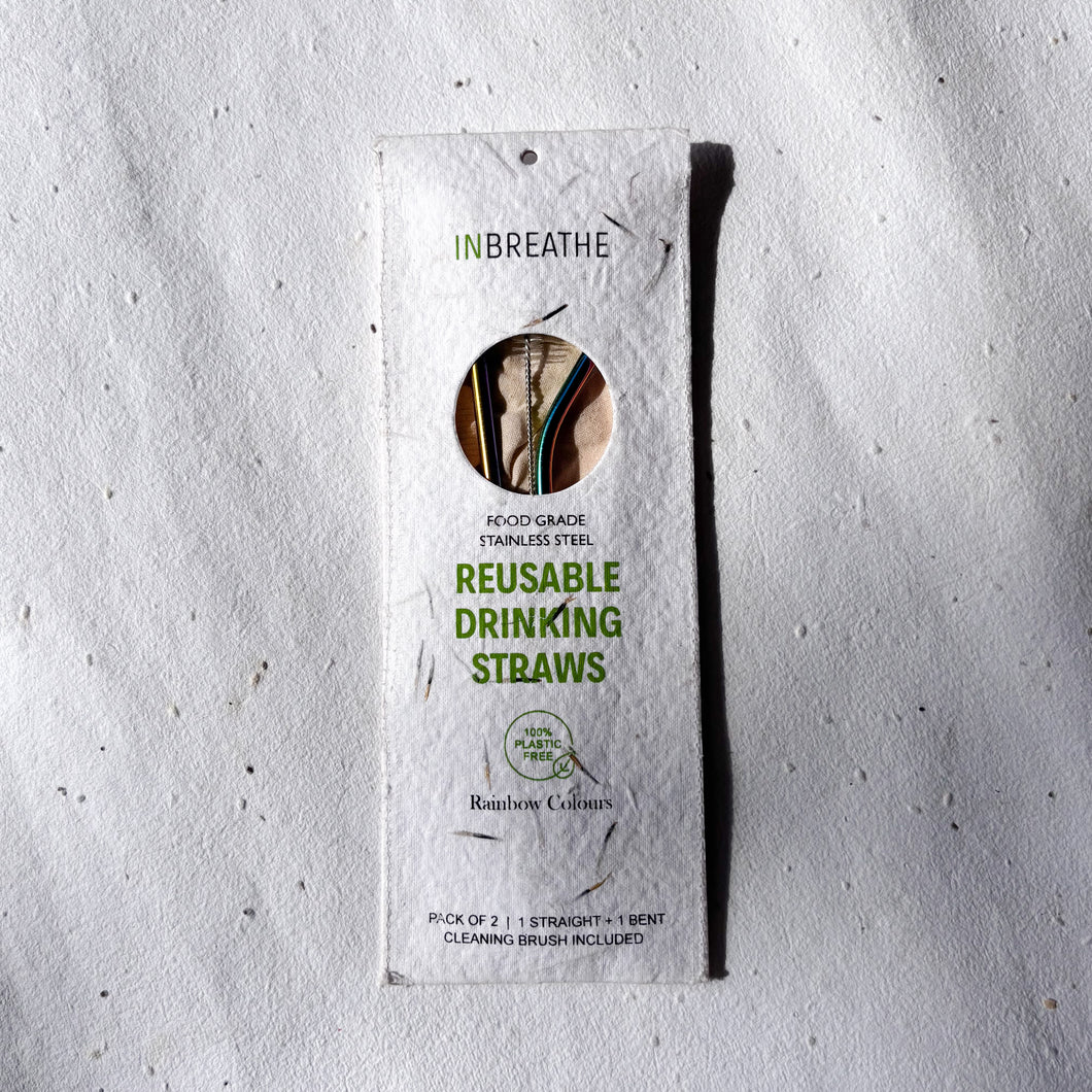 Eco-friendly stainless steel rainbow straws set of 2, reusable and safe for hot or cold drinks.