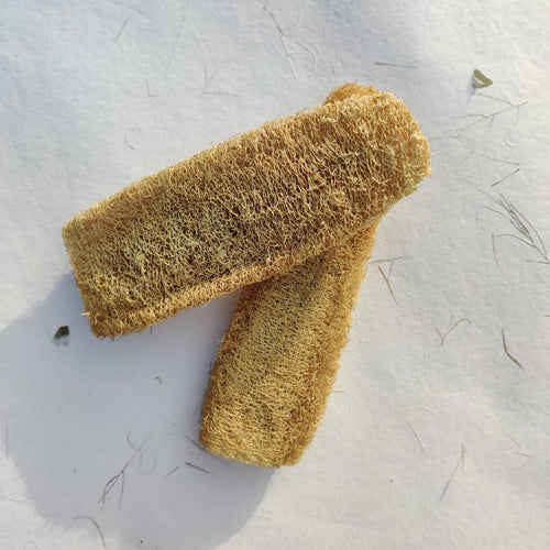 Pair of unbleached natural loofah sponges by InBreathe, biodegradable body exfoliators, plant-based & eco-friendly